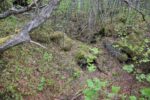 hkb_4-972_langli_2025_052
