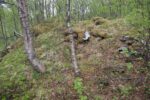 hkb_4-972_langli_2025_053