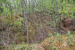 hkb_4-972_langli_2025_054
