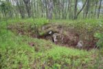 hkb_4-972_langli_2025_057