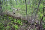 hkb_4-972_langli_2025_058