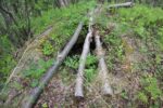 hkb_4-972_langli_2025_059