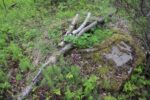 hkb_4-972_langli_2025_060