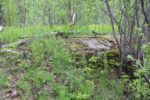 hkb_4-972_langli_2025_061