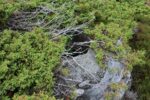hkb_4-976_nordlandet_2023_017