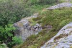 hkb_4-976_nordlandet_2023_024