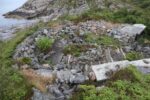 hkb_4-976_nordlandet_2023_034