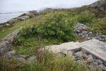hkb_4-976_nordlandet_2023_050