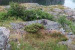 hkb_4-976_nordlandet_2023_078