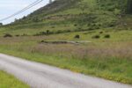 hkb_4-981_berle-bremanger_2023_006