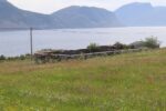 hkb_4-981_berle-bremanger_2023_007
