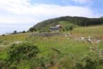 hkb_4-981_berle-bremanger_2023_020