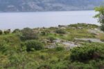 hkb_4-981_skarsten_2023_005
