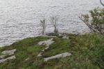 hkb_4-981_skarsten_2023_017
