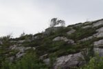 hkb_4-981_skarsten_2023_034
