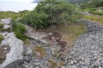 hkb_4-981_skarsten_2023_049