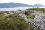 hkb_4-981_skarsten_2023_053
