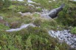 hkb_4-981_skarsten_2023_056