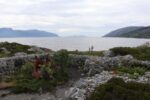 hkb_4-981_skarsten_2023_059