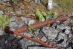 hkb_4-981_zug-aspenes_2023_034