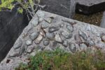 hkb_4-981_zug-aspenes_2025_064