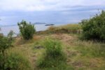 hkb_47-973_kjeroen_2023_017