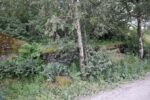 hkb_47-973_kjeroen_2023_094