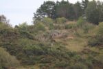 hkb_47-977_hetlefloten_2025_001