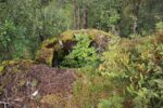 hkb_47-977_hetlefloten_2025_006