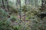 hkb_47-977_hetlefloten_2025_023