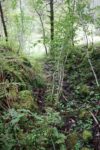 hkb_47-977_hetlefloten_2025_024