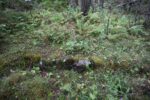 hkb_47-977_hetlefloten_2025_036