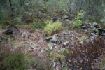 hkb_47-977_hetlefloten_2025_038