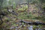 hkb_47-977_hetlefloten_2025_039