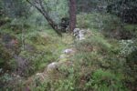 hkb_47-977_hetlefloten_2025_044
