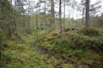 hkb_47-977_hetlefloten_2025_057