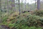 hkb_47-977_hetlefloten_2025_058
