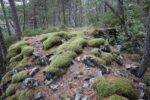 hkb_47-977_hetlefloten_2025_062