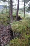 hkb_47-977_hetlefloten_2025_086