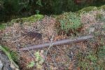 hkb_47-977_hetlefloten_2025_087