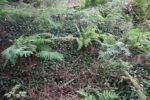 hkb_48-977_roetingi_2025_076