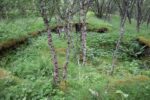 hkb_49-973_stokmarksnes_2023_013