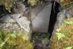 hkb_49-973_stokmarksnes_2023_014