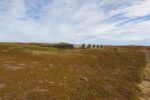hkb_5-448_vardoe-bussesund_2019_004
