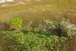hkb_5-448_vardoe-bussesund_2019_009