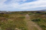 hkb_5-448_vardoe-bussesund_2019_015