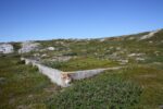hkb_5-971_boerselvnes_2019_006