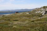 hkb_5-971_boerselvnes_2019_008