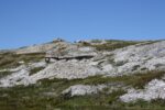 hkb_5-971_boerselvnes_2019_013