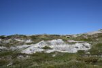 hkb_5-971_boerselvnes_2019_015